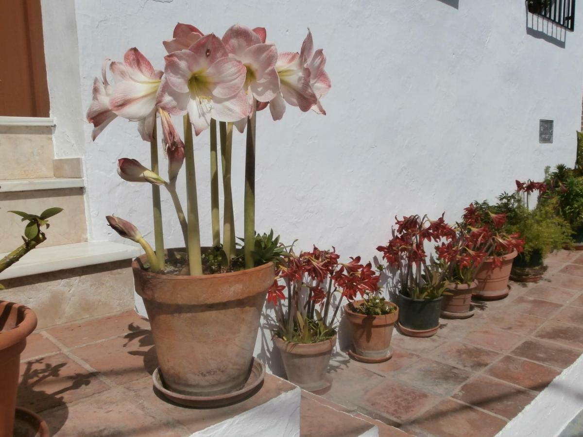 Casa Alta B&B Torrox Luaran gambar